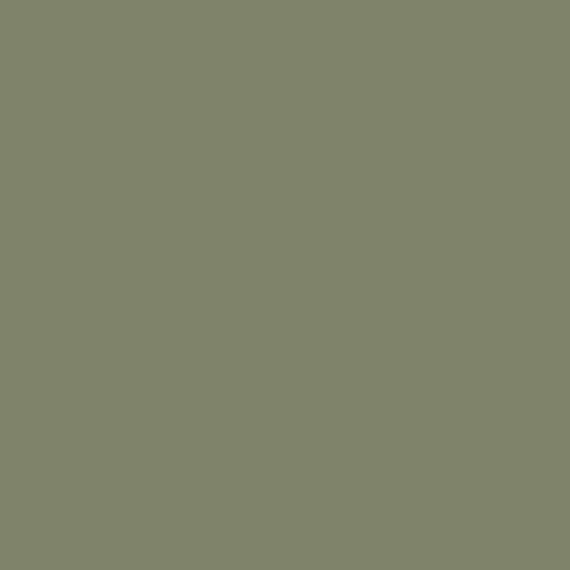 Verde oliva semimate RAL6013