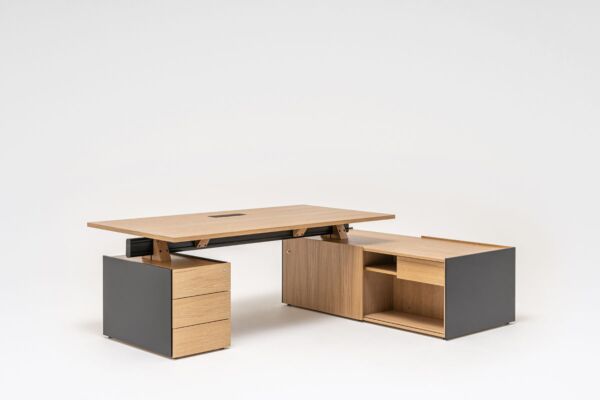 Viga executive desk with storage and pedestal