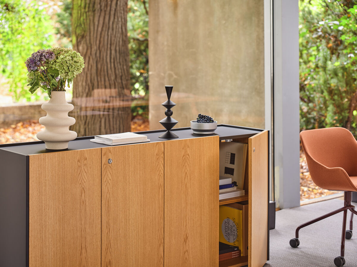 cabinet Viga