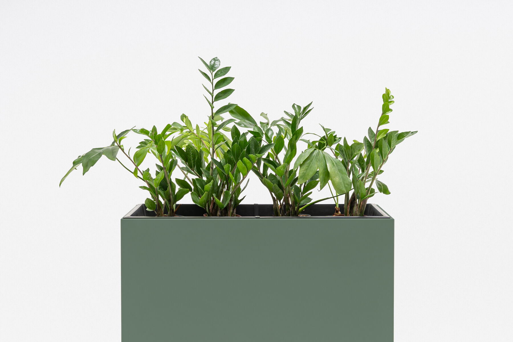 free-standing planters Standard