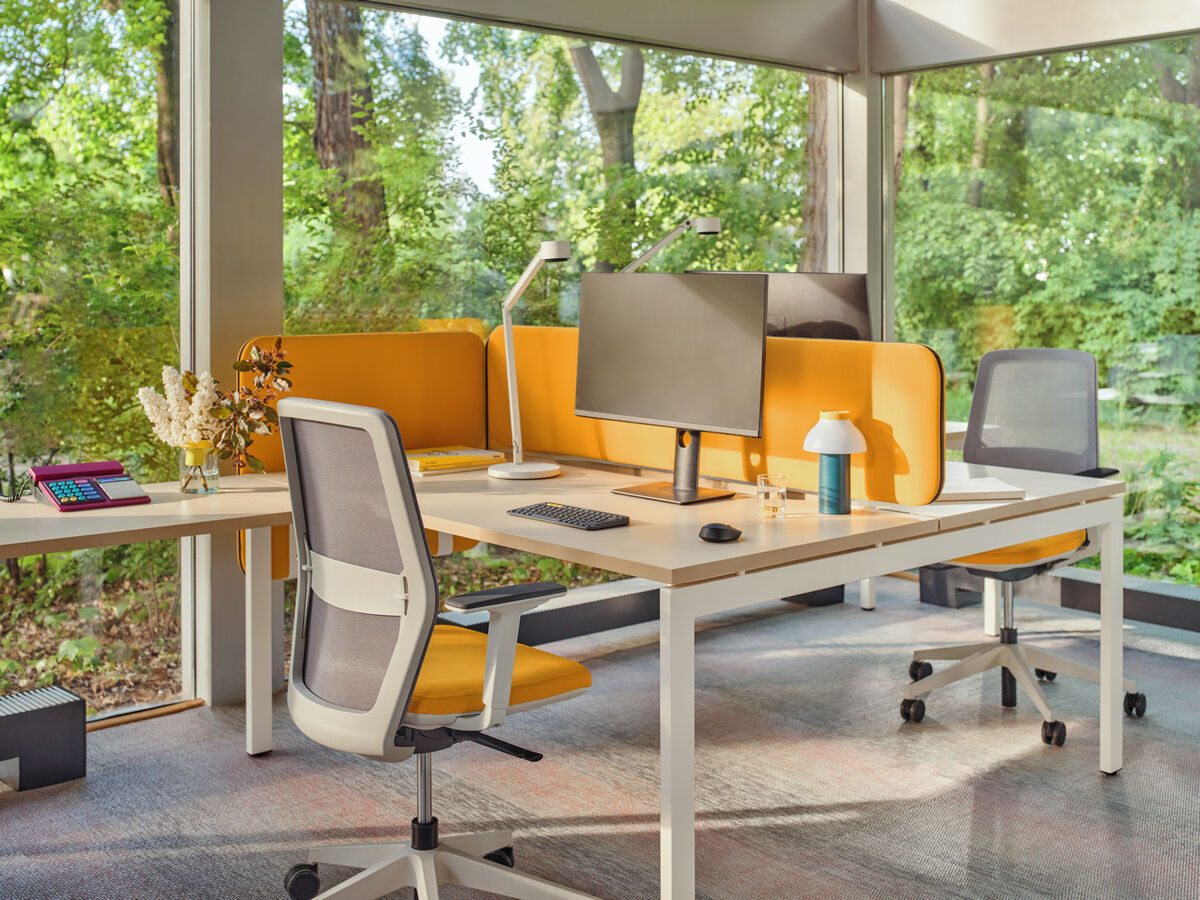 office chair mesh back Evo