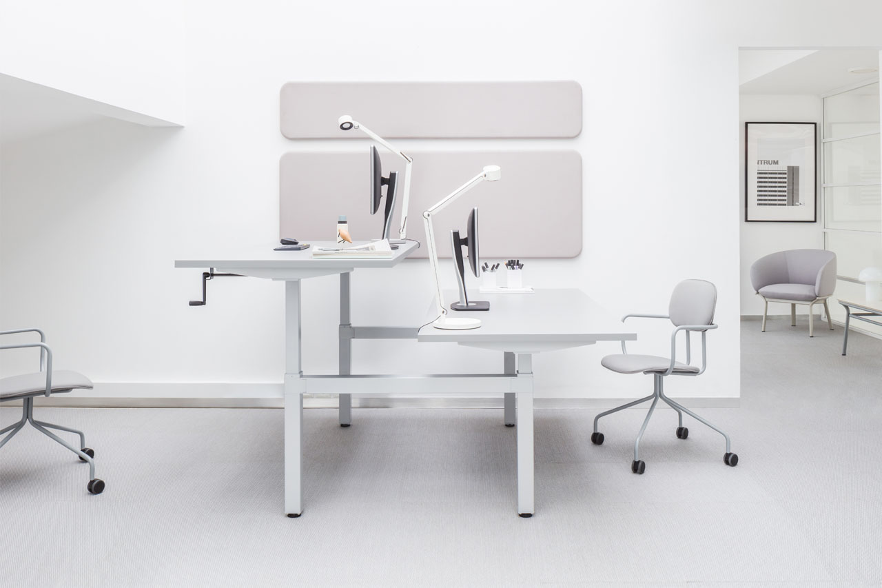 Ogi Drive Bench