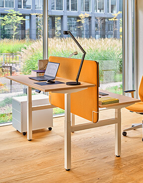 Ogi Drive bench escritorio doble con ajuste eléctrico de altura