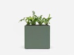 Plant pots