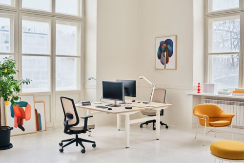 Ogi Drive bench