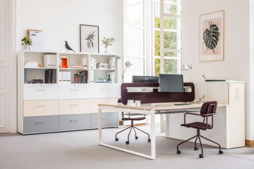 Ogi Q bench
