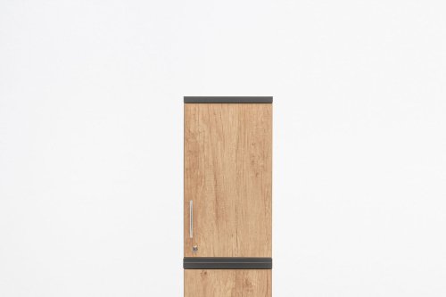 Basic extension unit