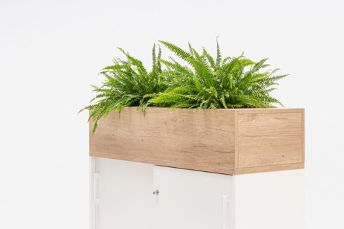 Standard - Blumentöpf auf den Schrank gestellt