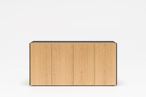 Viga cabinet