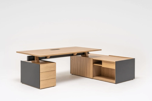 Viga executive desk with storage and pedestal